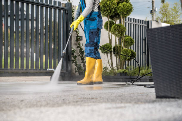 Best Soft Washing for Delicate Surfaces in Vilge St George, LA